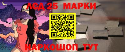 индика Обнинск