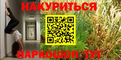 индика Обнинск