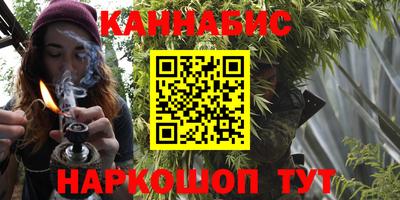 индика Обнинск