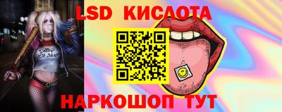 индика Обнинск